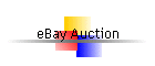 eBay Auction